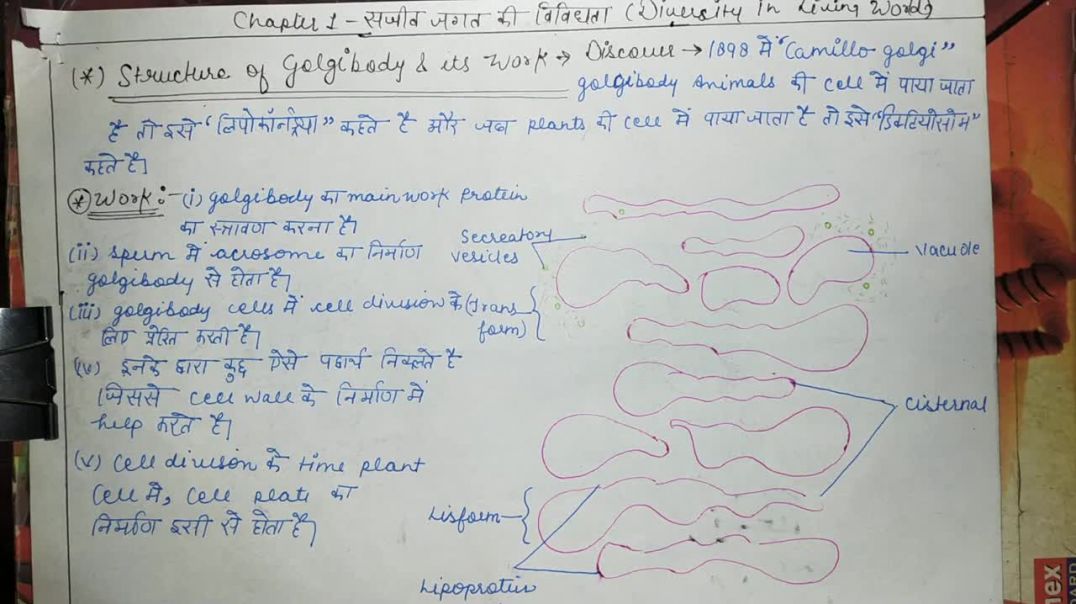 What is Golgi body and its work _ गॉल्जी बॉडी और उसके कार्य _ BIOLOGY _