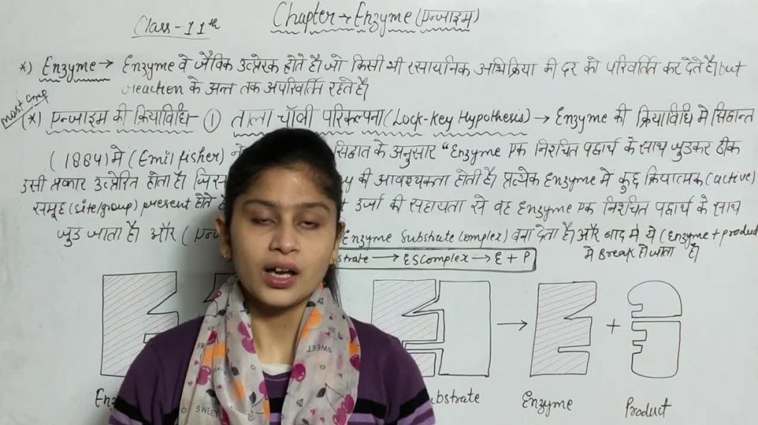 ⁣Lock And Key Hypothesis Of Enzyme _ ताला चाबी परिकल्पना _ Biology Class 11th _ Enzyme In Biology