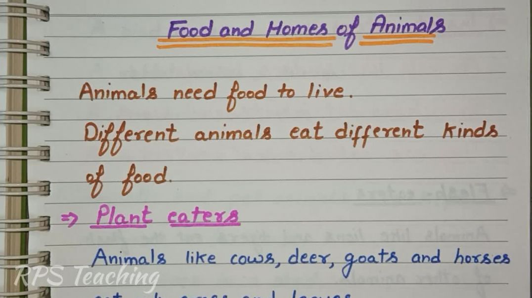 ⁣Class 1 EVS - Food and Homes of Animals 🐯 1st Class EVS Grade 1 EVS Worksheet @RPS Teaching #study