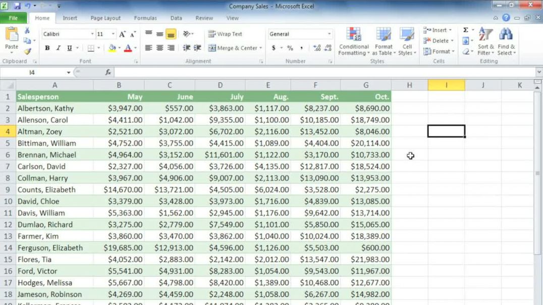 Excel 2010_ Conditional Formatting
