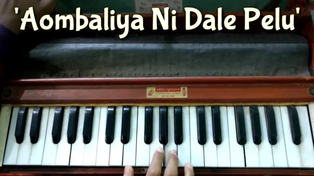 Holdu Pivdave - Kinjal Dave Jignesh Kaviraj હોલડું પીવડાવે Aombaliya Ni Dale Pelu Harmonium