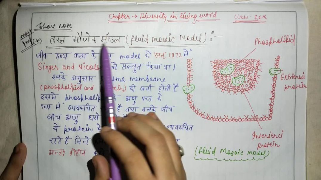 What is Fluid Mosaic Model _ तरल मौजेक मॉडल क्या होता है _