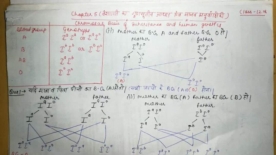 ⁣Cross of blood groups _ रक्त समूह _ Biology