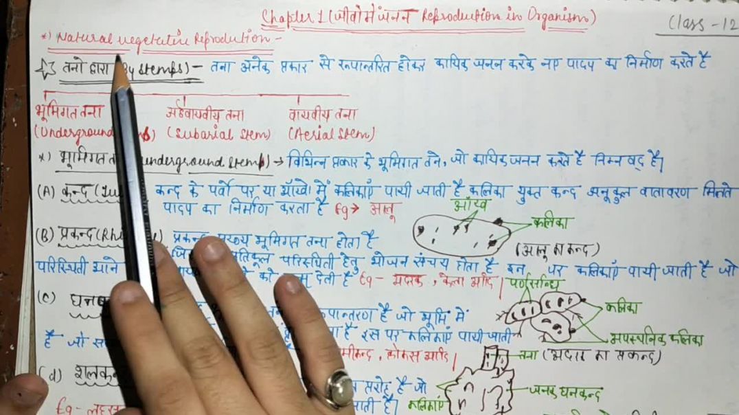 ⁣प्राकर्तिक कायिक जनन - तनो द्वारा By Stems ( जीवो में जनन )