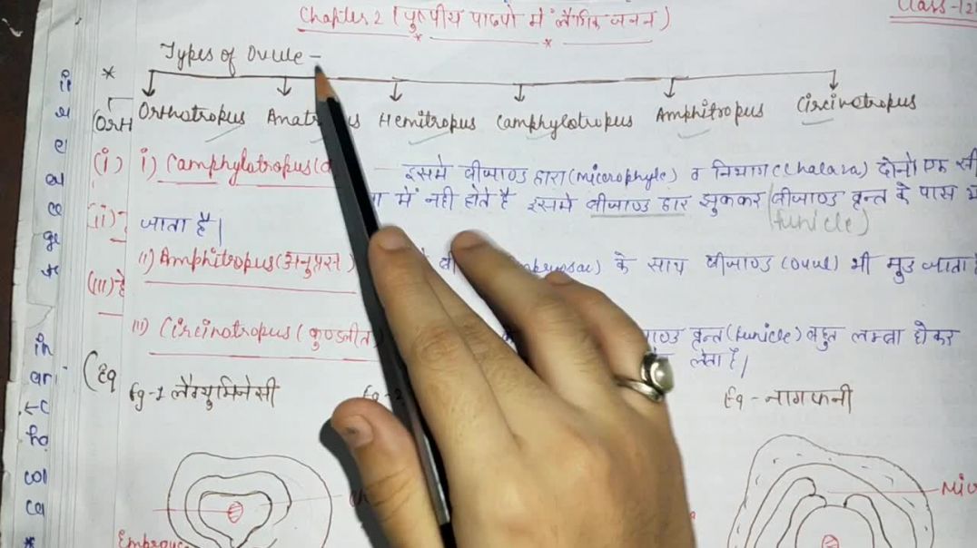 ⁣बीजांड के प्रकार - (वक्र,अनुप्रस ,कुण्डलित) - Biology Class 12th