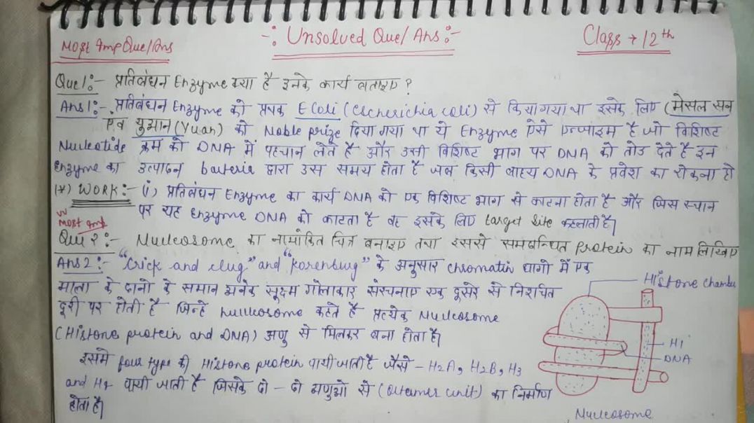 What is Restriction Enzyme _ Nucleosome _ BIOLOGY UNSOLVED 2021