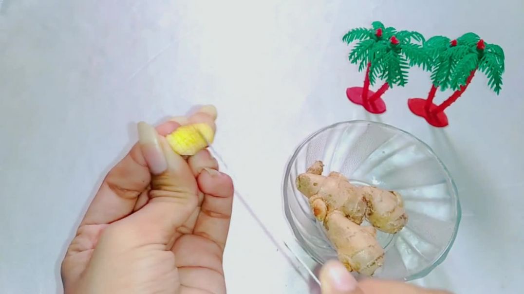 How To Grow Nails Fast How To Grow Nails In 5 Days