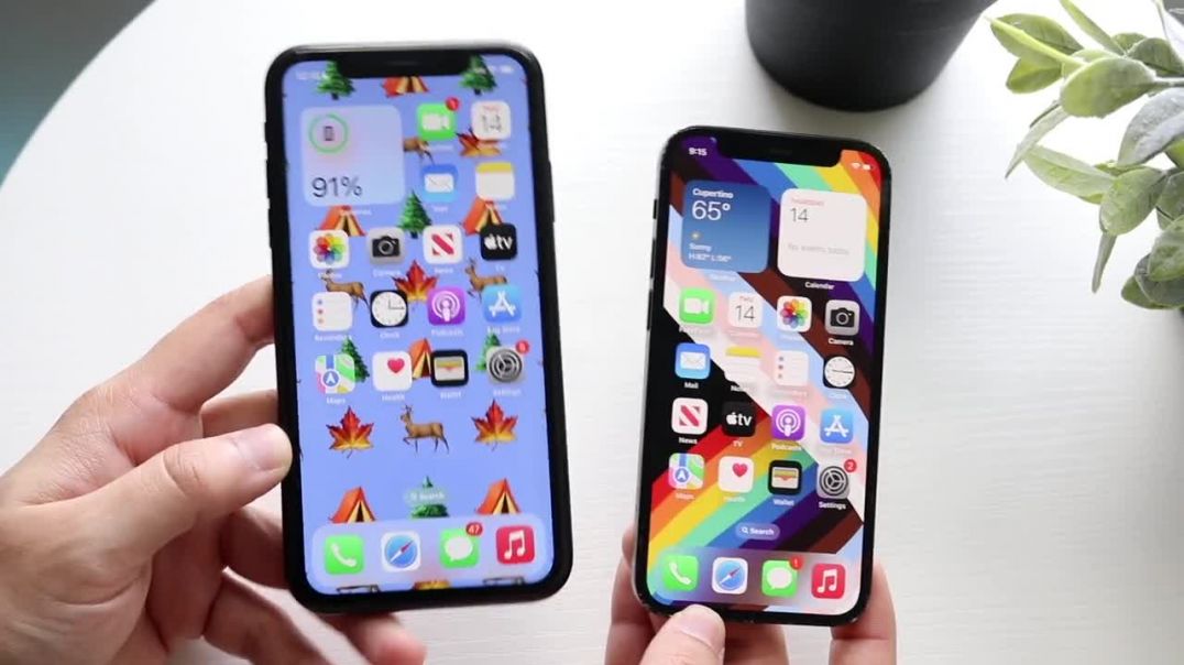 ⁣iPhone 12 Mini Vs iPhone XR! (Comparison) (Review)