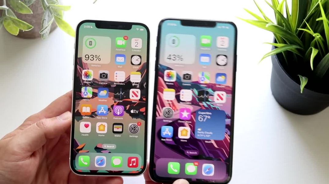 iPhone 12 Vs iPhone XS Max! (Comparison) (Review)